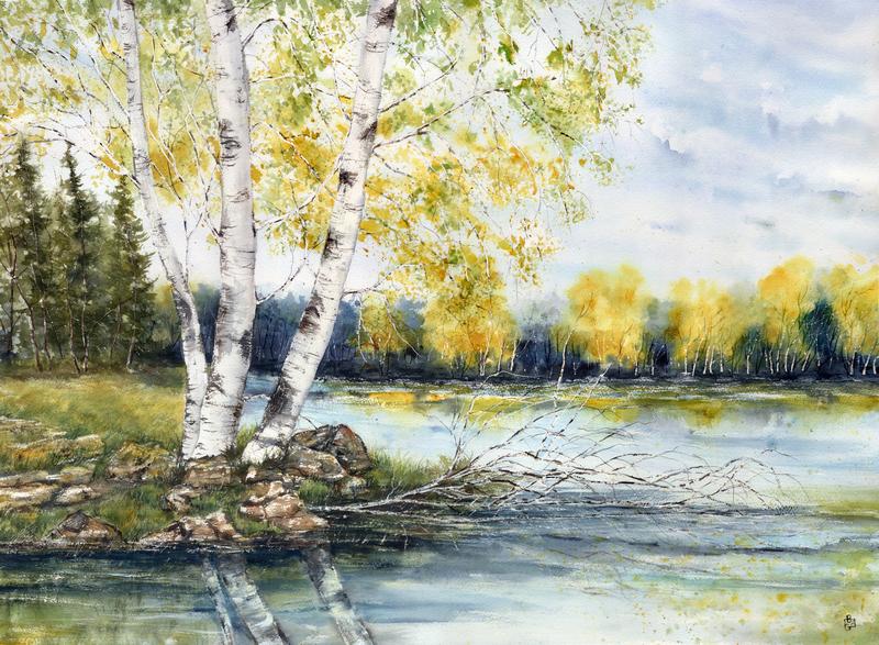 Yellow birches on the dark blue lake