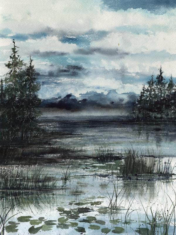 Dark View of the Pine treees