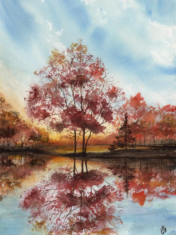 Red Maple Reflection